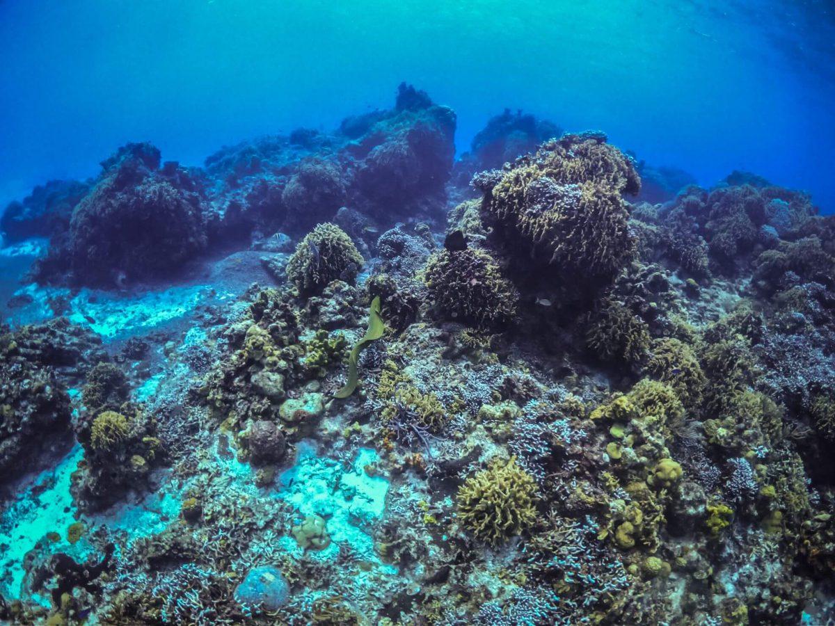4_Hours_yacht_renal_in_Tulum_and_Puerto_Aventuras_by_Riviera_Charters_36