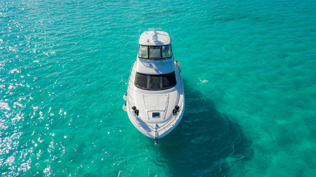 50-Ft-Sea-Ray-With-Flybridge-by-Riviera-Charters-13