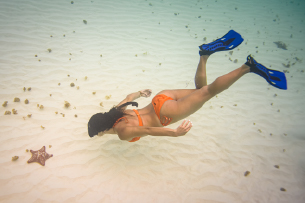9hrs-cozumel-image