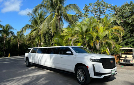 cadillac-limousine-rental-image (1)-2
