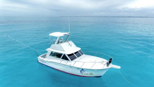 38 Ft Sport Fishing yacht rental Camille by Riviera Cahrters 5