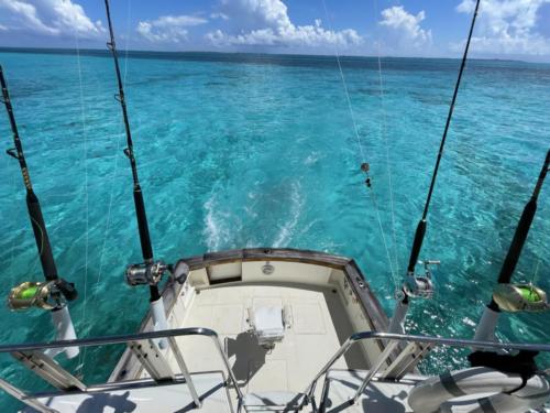 Sport-fishing-private-charters-and-luxury-rentals-in-Cancun-by-Riviera-Charters-8