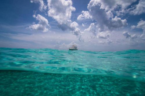 Tulum to Cozumel yacht rental and snorkel tour by Riviera Charters 48