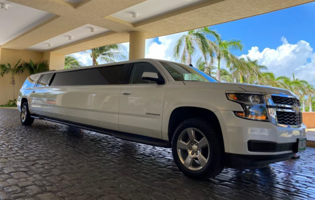 suburban-limousine-image (5)